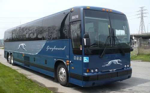 greyhound-bus-carrier-guide-1.jpg (500×310)