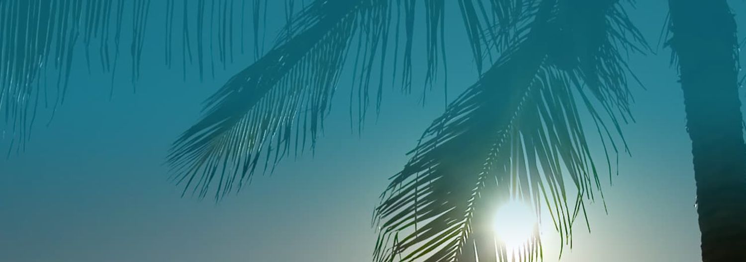 New York to Miami Train Amtrak Tickets 130 Wanderu